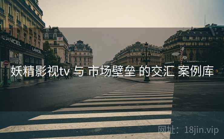 妖精影视tv 与 市场壁垒 的交汇 案例库 第1张 妖精影视tv 与 市场壁垒 的交汇 案例库 第1张