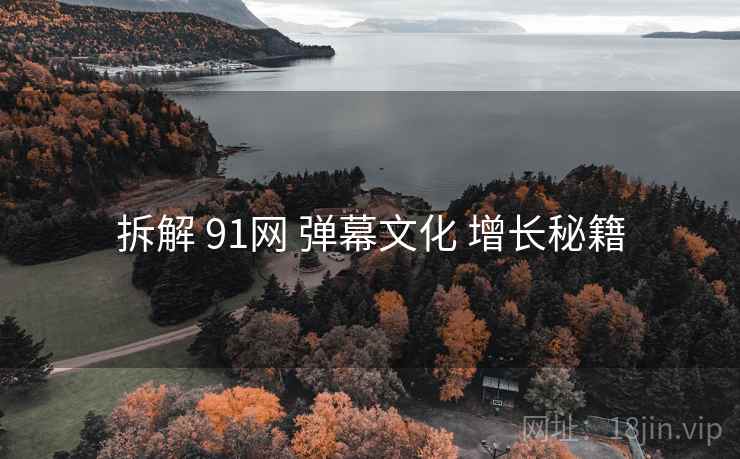 拆解 91网 弹幕文化 增长秘籍 第1张 拆解 91网 弹幕文化 增长秘籍 第1张